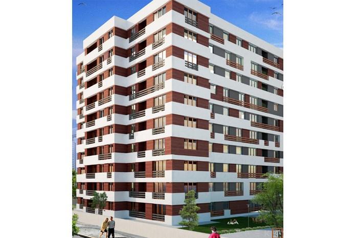İstanbulensis - Görsel 6