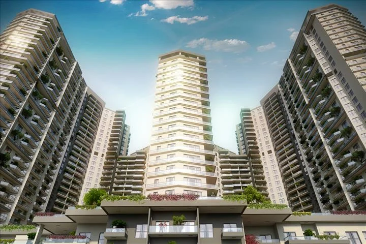 Altın Orman İzmir - Görsel 3