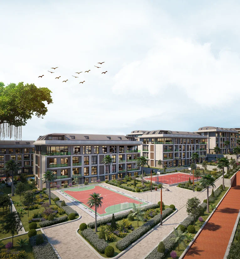 Palm Marin - Görsel 9