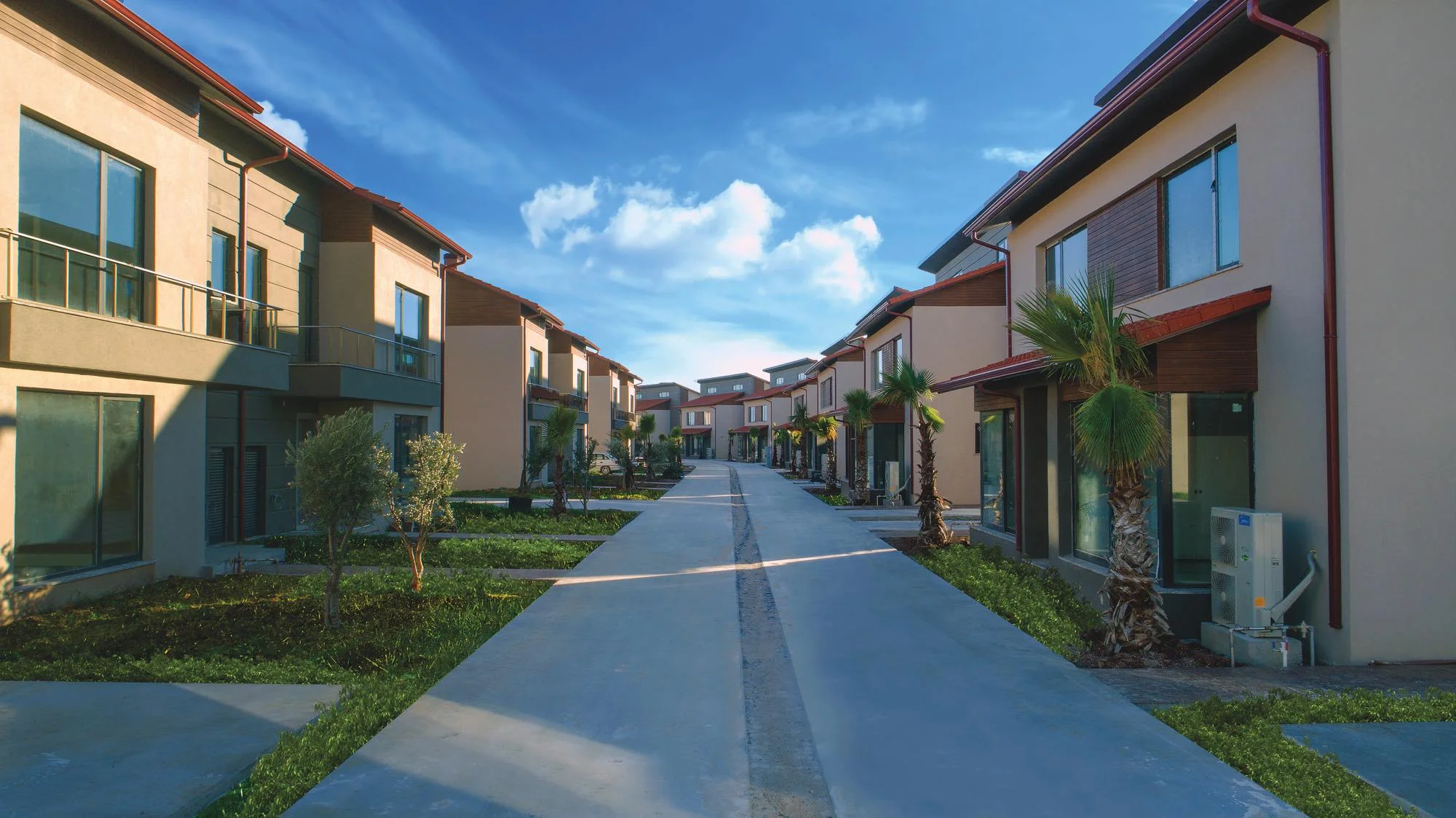 Palm City Modern - Görsel 4